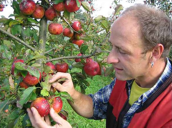 Obstbauberatung